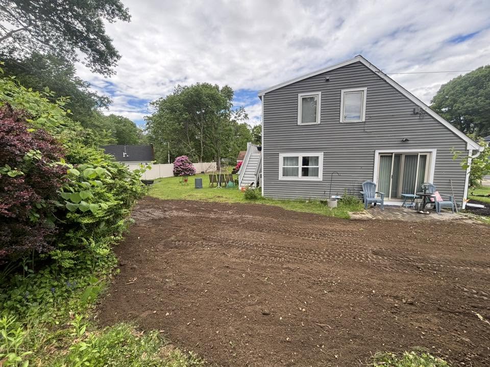 Restoration after invasive knotweed fully removed from property